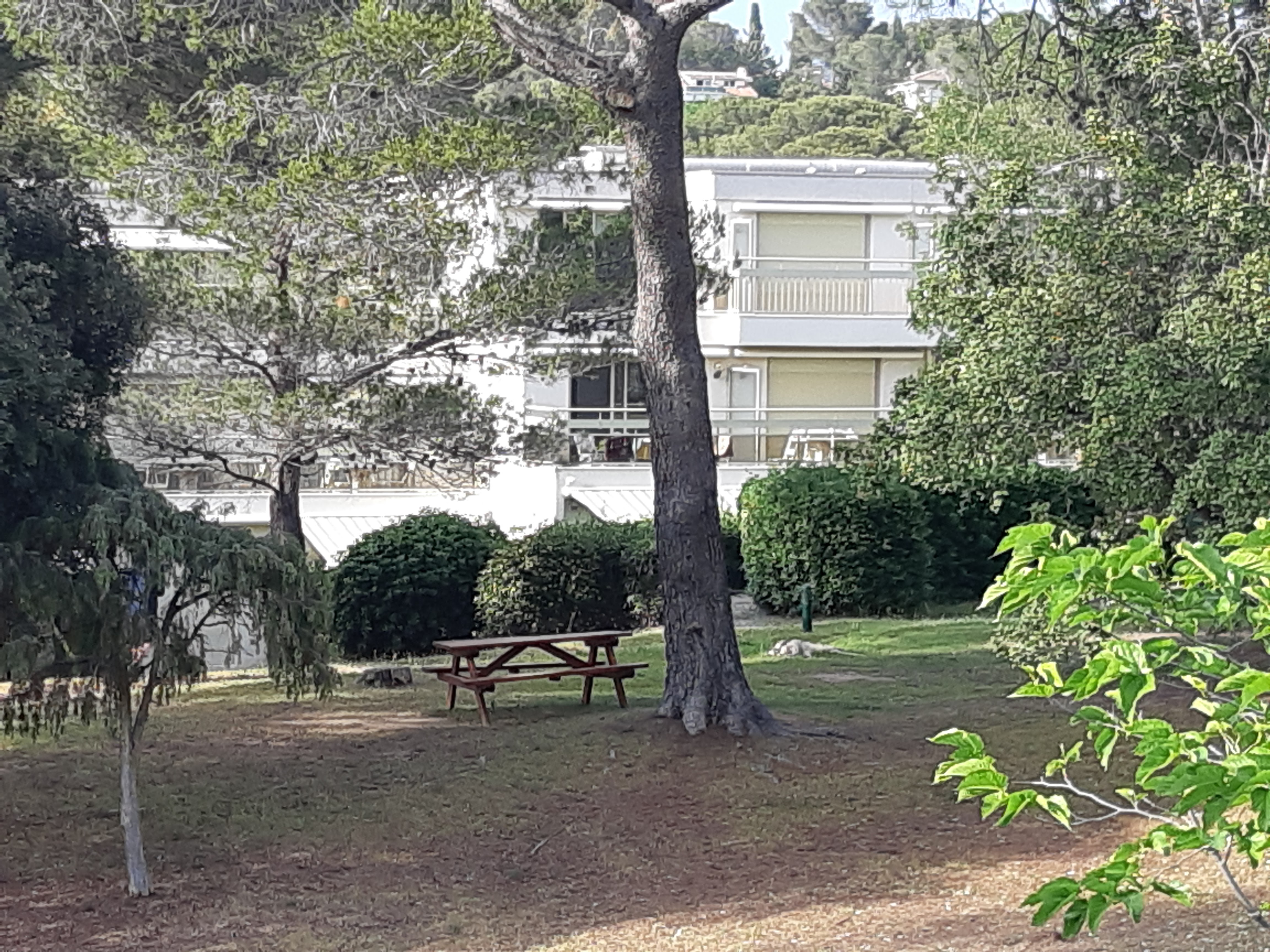 Parc privé  Domaine St-Raph.jpg